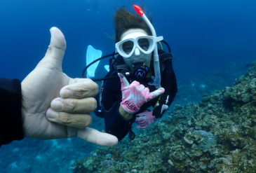 2026年1月22日｜北風の先に広がった黒島マンタのご褒美ダイブ