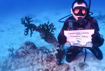 2025/1/10 ダイビングログ｜屋良部沖・大崎で100本記念ダイブ！マクロ生物も大豊作