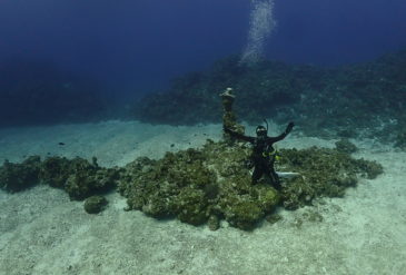 2025/1/9 ダイビングログ｜竹富南エリアで大物からマクロまで満喫！