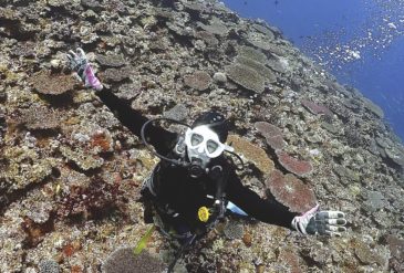 【石垣島ファンダイビングブログ】2026年2月24日 マンタリベンジならず…それでも海は最高