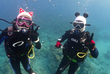 【2026年2月14日】バレンタインダイブは水面マンタ！南風ぽかぽか石垣島ダイビング