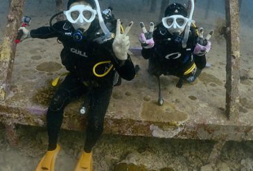 【2026年2月15日】石垣島ダイビング｜マンタ・バラクーダ・イソマグロ登場の大物DAY！