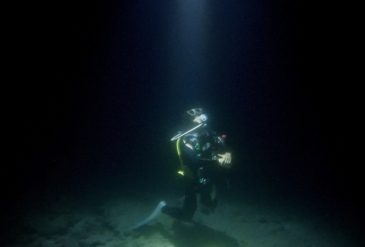 石垣島ダイブマスター講習最終日｜ディープ＆ナイトで締めくくるマクロ三昧な最高の1日