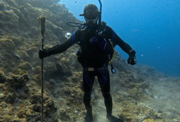 石垣島でワイドダイビング＆洞窟探検！トカキンの根でバラクーダやギンガメアジ、黒島仲本ケーブでカノコイセエビ観察、パナリでマンタチャレンジのダイビングログ。