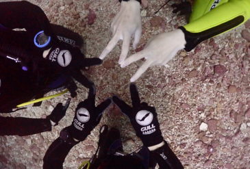 石垣島でマンタ・地形・コブシメを満喫した贅沢ダイビング！石崎MCPでマンタ遭遇、崎枝ビッグアーチの幻想的な地形、大崎でコブシメ観察と内容充実の1日レポート。